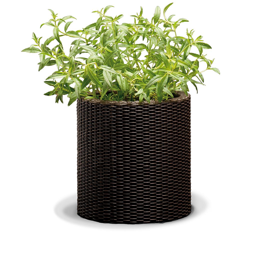 MACETA MEDIANA RATTAN REDONDA